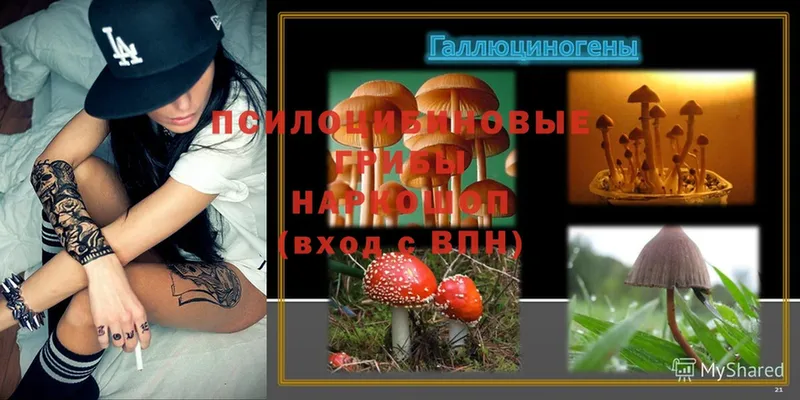 купить закладку  Спас-Деменск  Галлюциногенные грибы MAGIC MUSHROOMS 